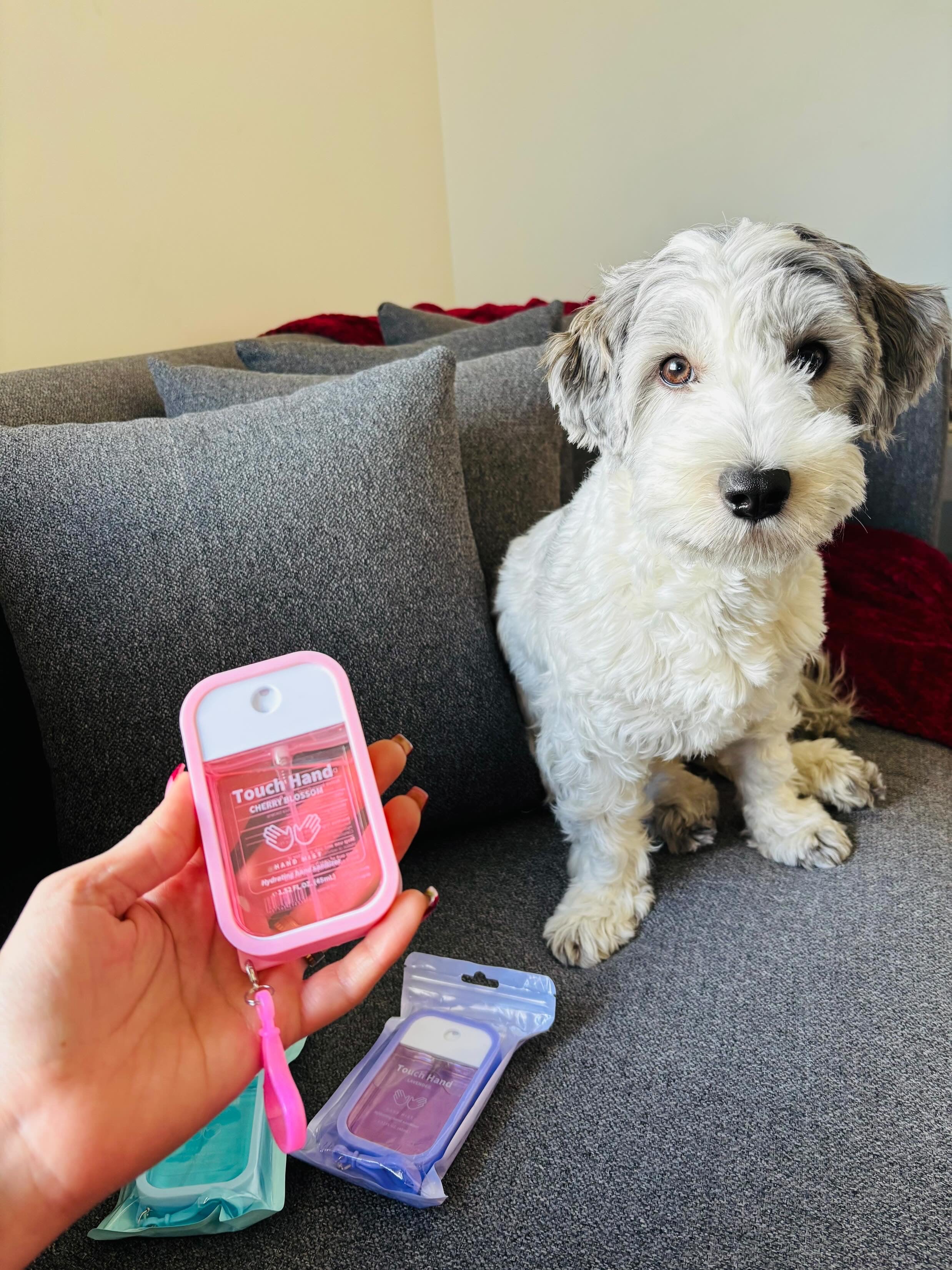 ⭐️⭐️⭐️⭐️⭐️           I loved every single one, and lexi my pet approved 🤪 they all smell amazing, and really good quality, thank you so much, will definitely order again! ❤️